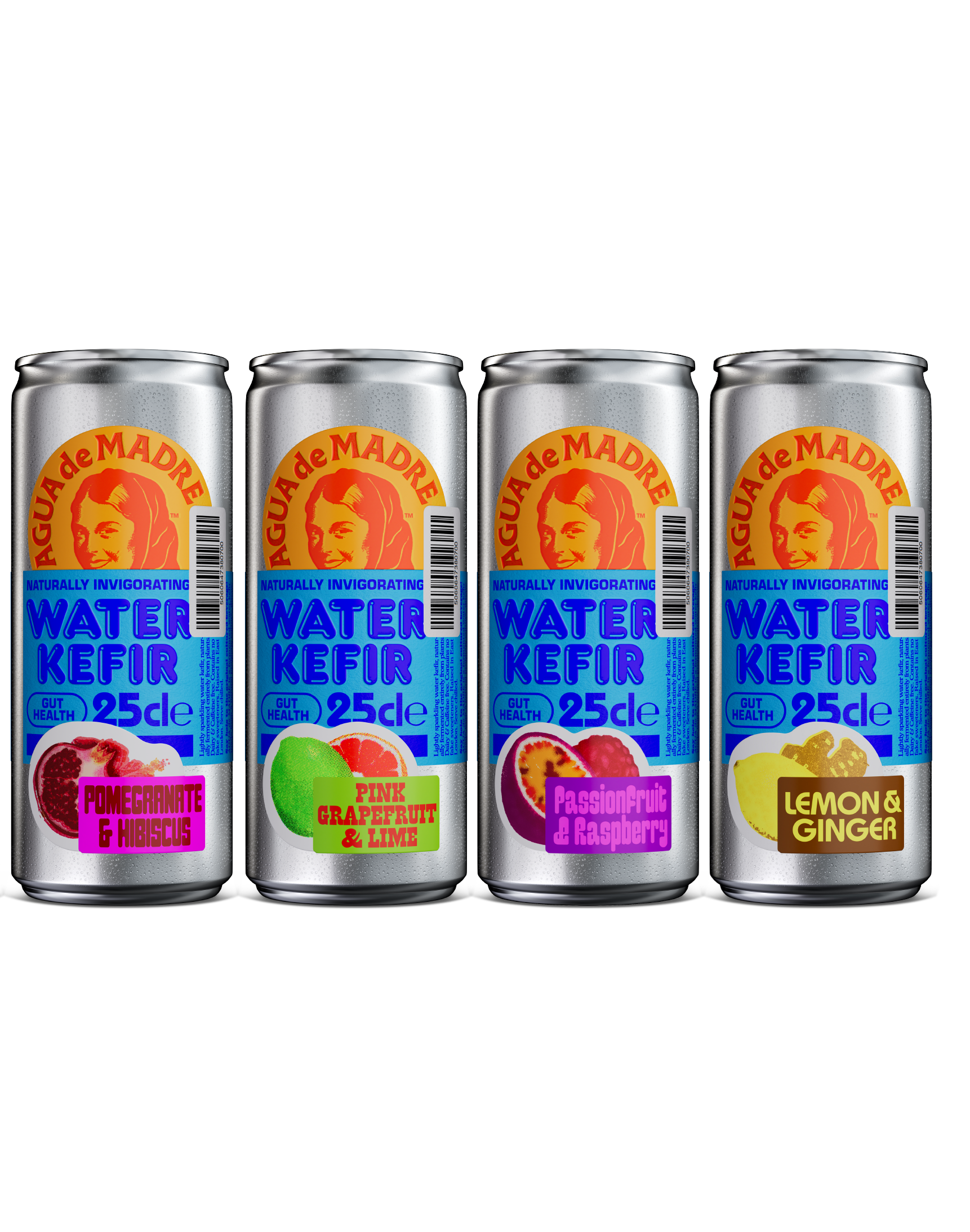 Starter Pack Mixed Case x 4 Cans