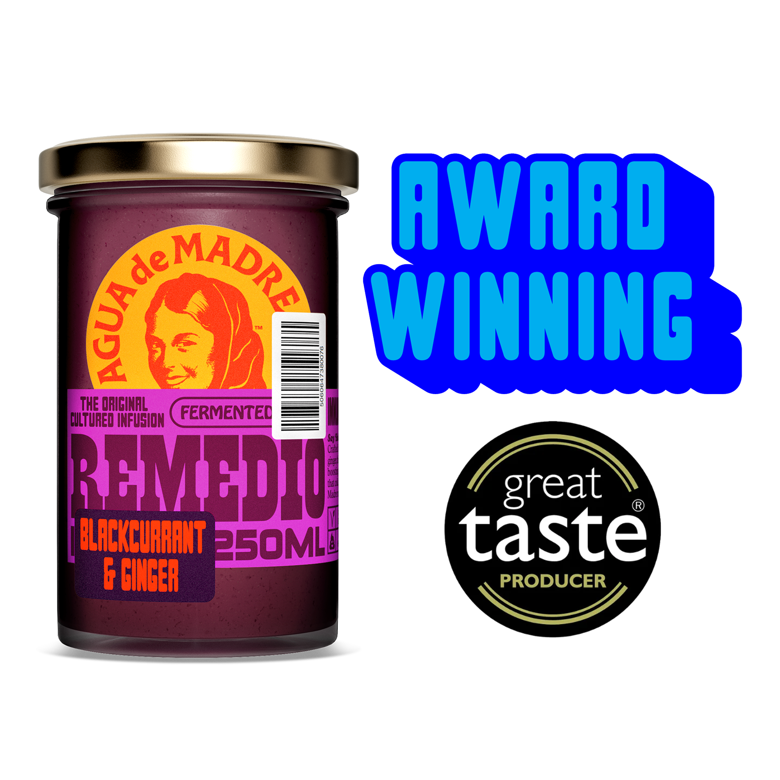 Blackcurrant & Ginger Remedio Infusion Single Jar