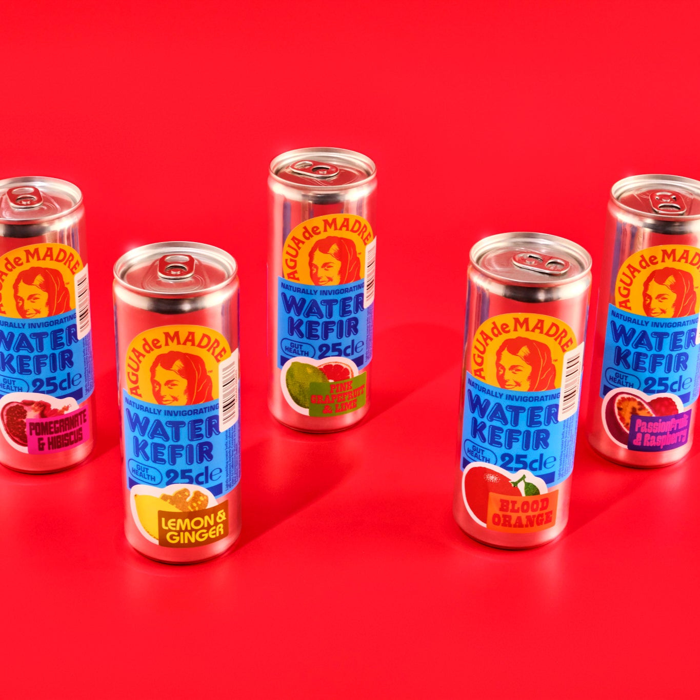 Starter Pack Mixed Case x 5 cans